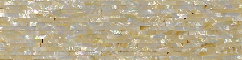 Golden Mother of Pearl shellstone (small brick)